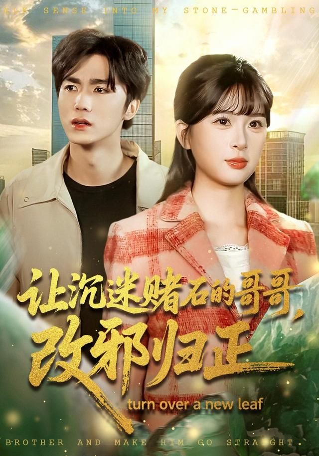 让沉迷赌石的哥哥，改邪归正海报