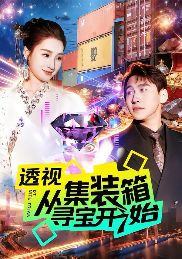 透视从集装箱寻宝开始海报