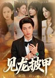 见龙披甲海报