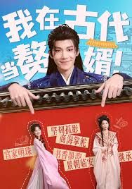我在古代当赘婿海报