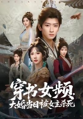 穿书女频，大婚当日被女主杀死海报