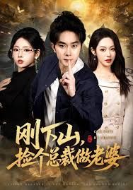 刚下山捡个总裁做老婆海报