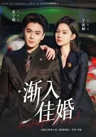 渐入佳婚第一部海报