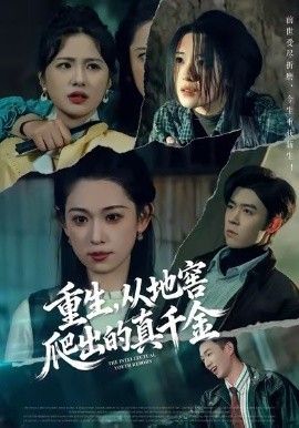 重生，从地窖爬出的真千金海报