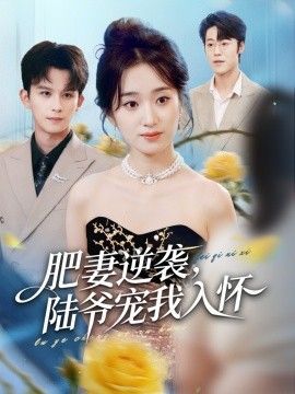 肥妻逆袭，陆爷宠我入怀海报