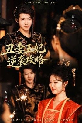 丑妻王妃逆袭攻略海报