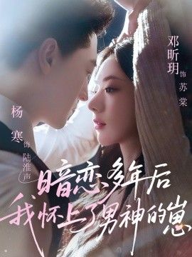 暗恋多年后我怀上了男神的崽海报