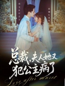 总裁，夫人她又犯公主病了海报
