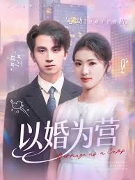 以婚为营海报