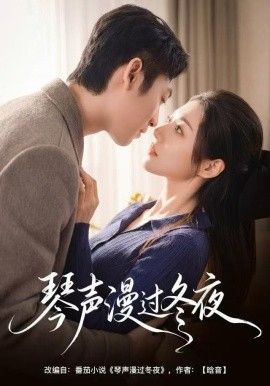 琴声漫过冬夜海报