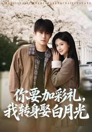 你要加彩礼，我转身娶白月光海报