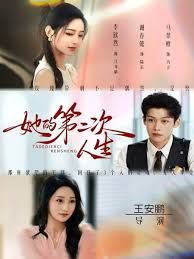 她的第二次人生海报