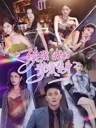 续弦我的挚爱替身海报