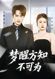 梦醒方知不可为海报