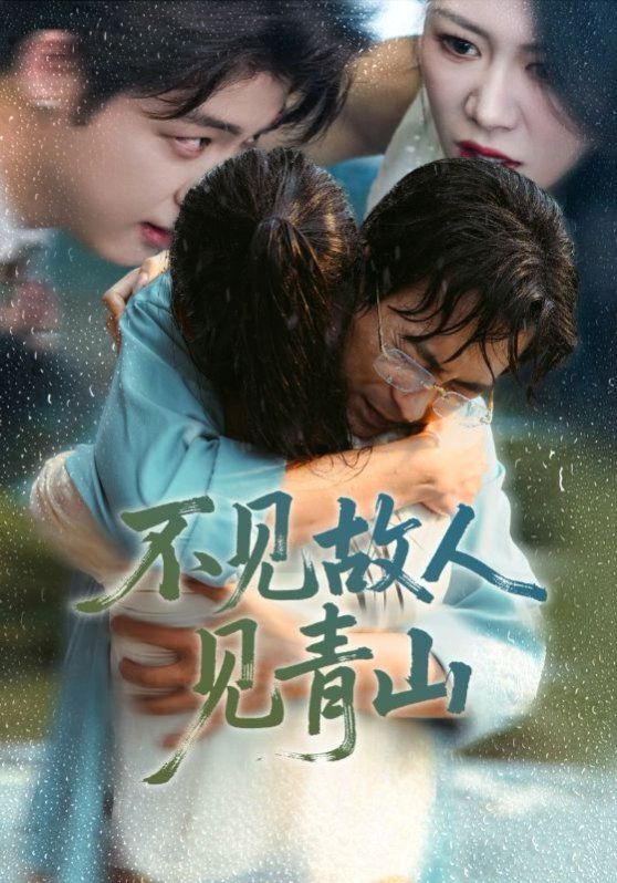 不见故人见青山（心约难守，余生不渡）海报