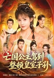 亡国公主驾到，整顿皇室子孙海报
