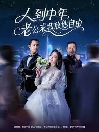 人到中年，老公求我放他自由海报