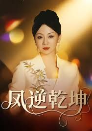 凤逆乾坤海报