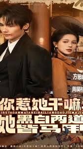 你惹她干嘛，她黑白两道皆马甲海报