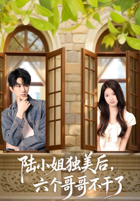 陆小姐独美后六个哥哥不干了海报