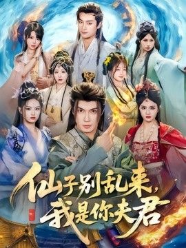 仙子别乱来，我是你夫君海报