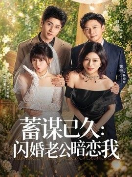 蓄谋已久：闪婚老公暗恋我（我带崽闪婚后怎么老妈也）海报