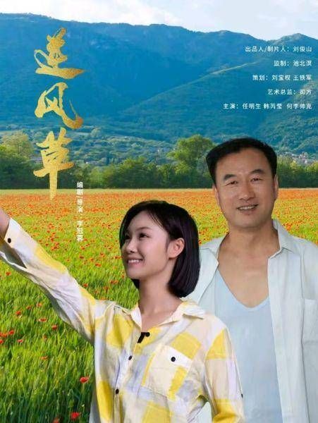 逆风草海报