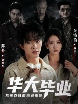 华大毕业，我在霓虹国捣毁毒枭海报