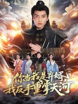 你当我是弃婿，我反手重掌天河海报