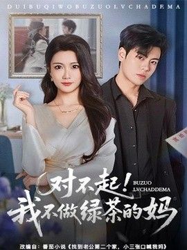 对不起，我不做绿茶的妈海报