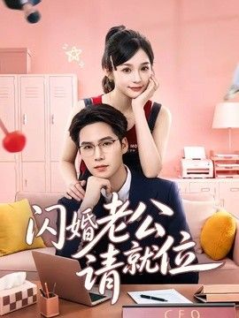闪婚老公请就位海报