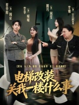 电梯改装关我一楼什么事海报