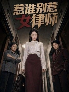 惹谁别惹女律师海报