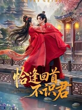 恰逢回首不识君海报