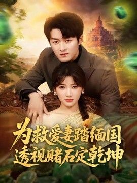 为救爱妻踏缅国透视赌石定乾坤海报