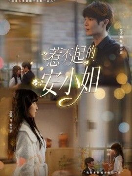 惹不起的安小姐海报