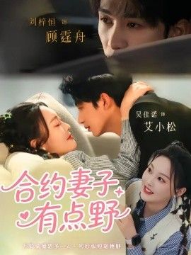 合约妻子有点野海报