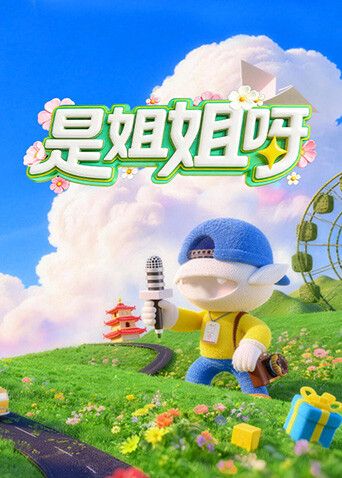 是姐姐呀海报