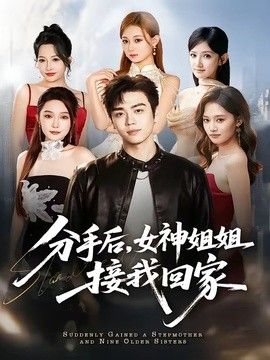 分手后，女神姐姐接我回家海报
