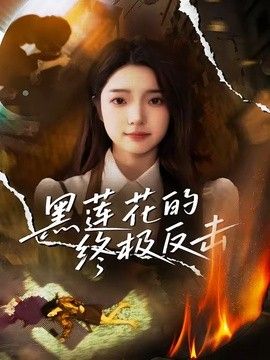 黑莲花的终极反击海报