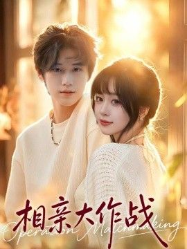 相亲大作战海报