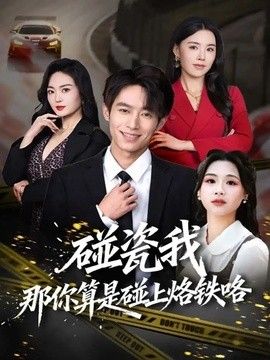 碰瓷我那你算是碰上烙铁咯海报