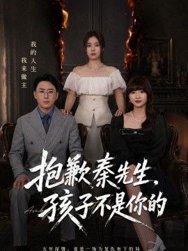抱歉秦先生，孩子不是你的海报