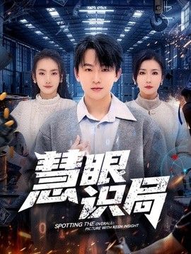 慧眼识局海报