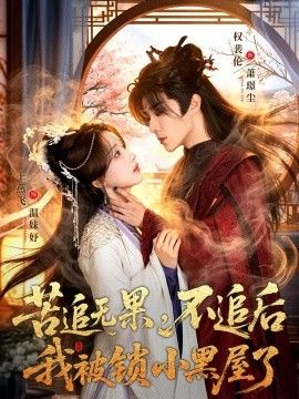 苦追无果，不追后我被锁小黑屋了海报