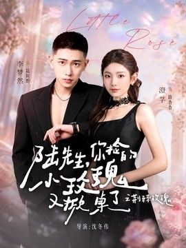 陆先生，你捡的小玫瑰又掀桌了之荆棘玫瑰（太子爷的小玫瑰又掀桌了）海报