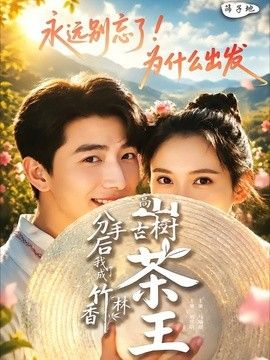 分手后我成了香竹林高山古树茶王海报