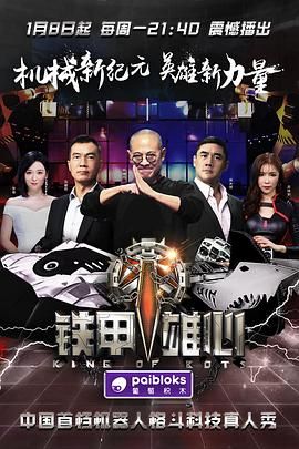铁甲雄心第一季海报