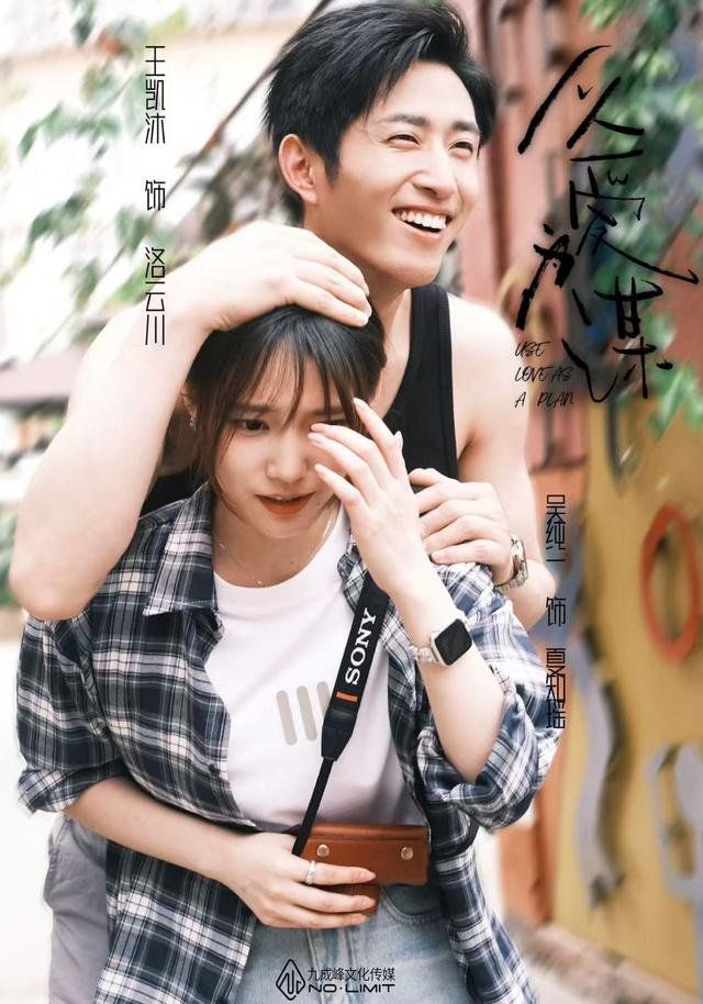 以爱为谋海报