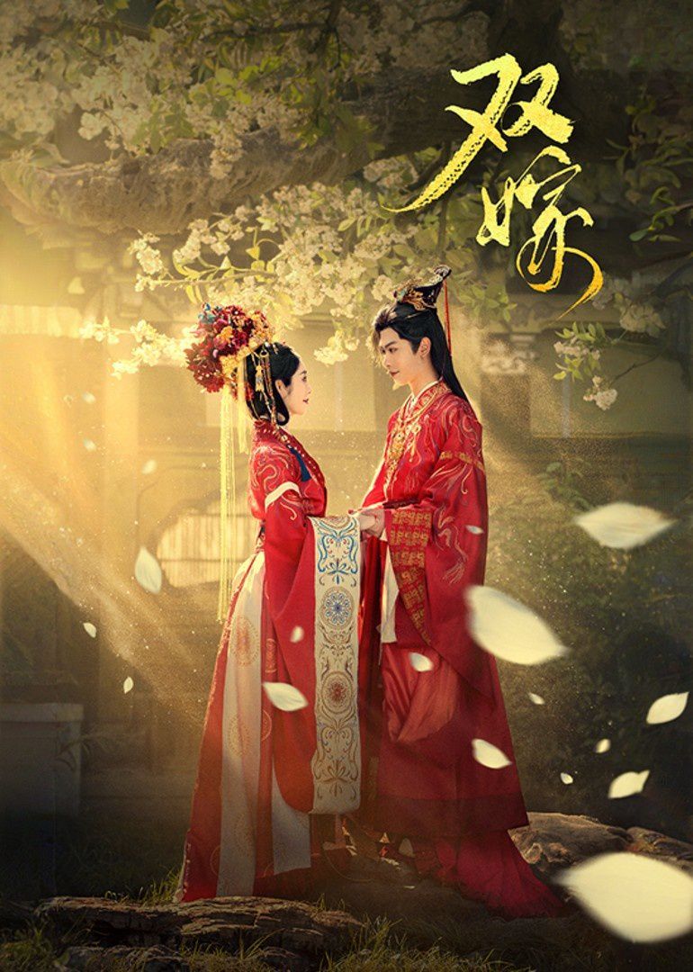 双嫁海报